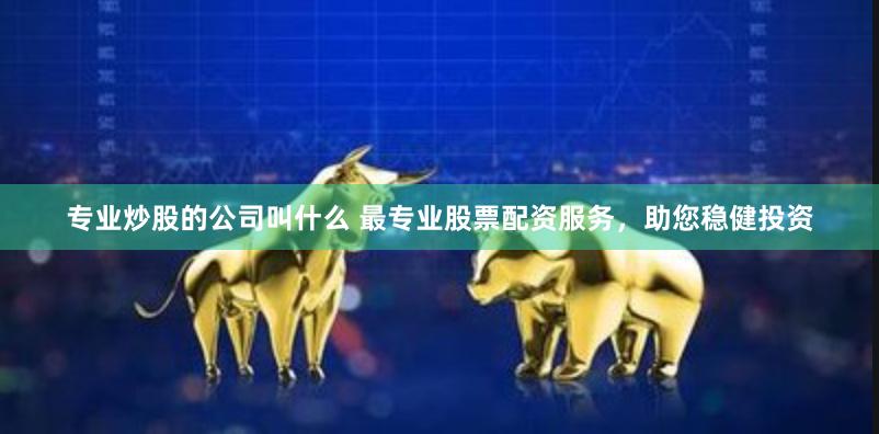 专业炒股的公司叫什么 最专业股票配资服务，助您稳健投资