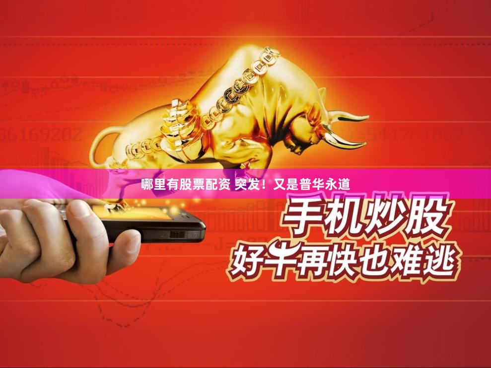 哪里有股票配资 突发！又是普华永道