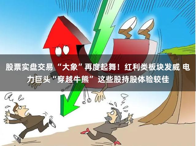 股票实盘交易 “大象”再度起舞！红利类板块发威 电力巨头“穿越牛熊” 这些股持股体验较佳