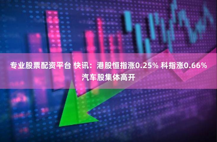 专业股票配资平台 快讯：港股恒指涨0.25% 科指涨0.66%汽车股集体高开