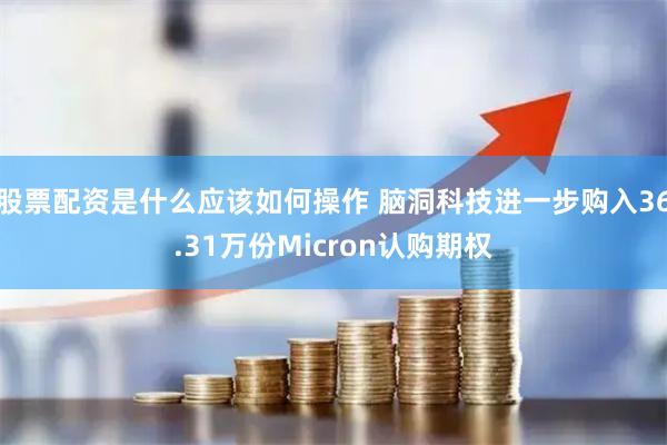 股票配资是什么应该如何操作 脑洞科技进一步购入36.31万份Micron认购期权