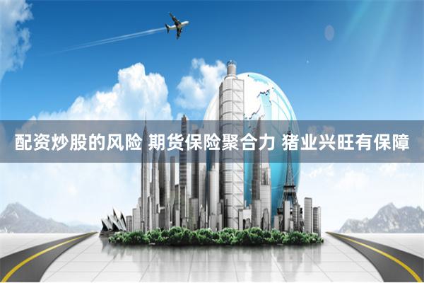 配资炒股的风险 期货保险聚合力 猪业兴旺有保障
