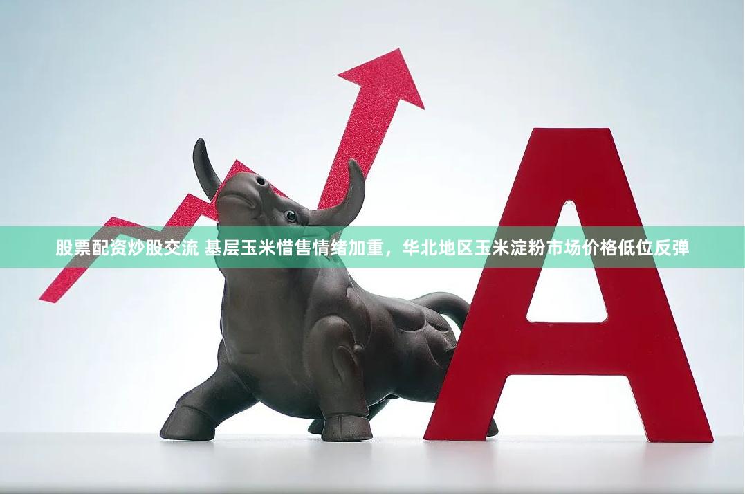 股票配资炒股交流 基层玉米惜售情绪加重，华北地区玉米淀粉市场价格低位反弹